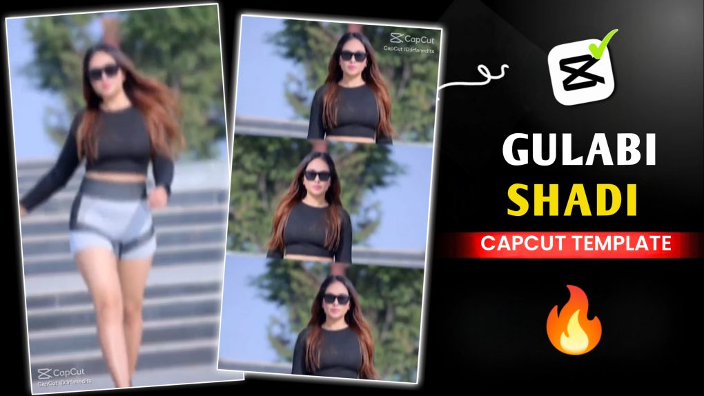 Gulabi Sadi Capcut Template