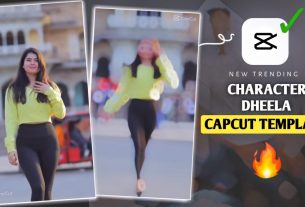 Character Dheela Hai Capcut Template