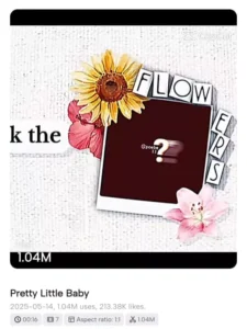 Pretty Little Baby Capcut Template Trend (2)