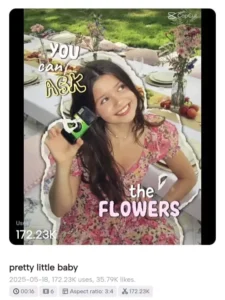 Pretty Little Baby Capcut Templates (2)